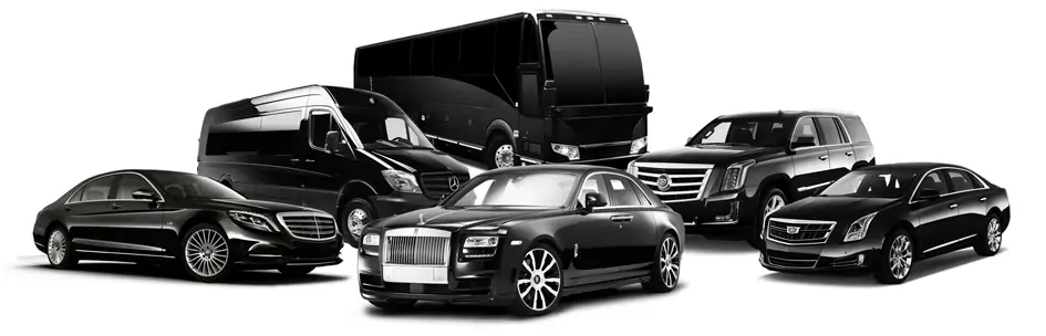 TX Black Car and Limo Services Fleet
