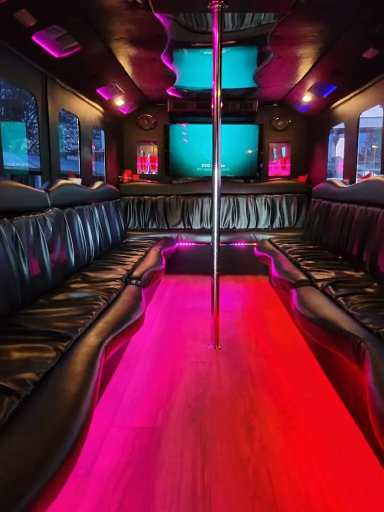 20 Passengers Party Bus