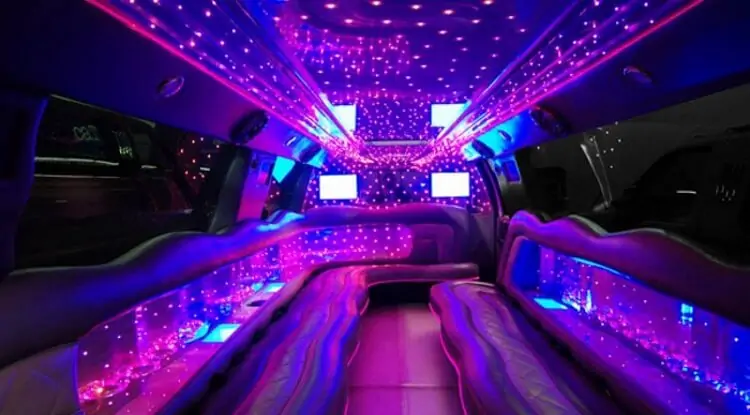 Party Bus 32
